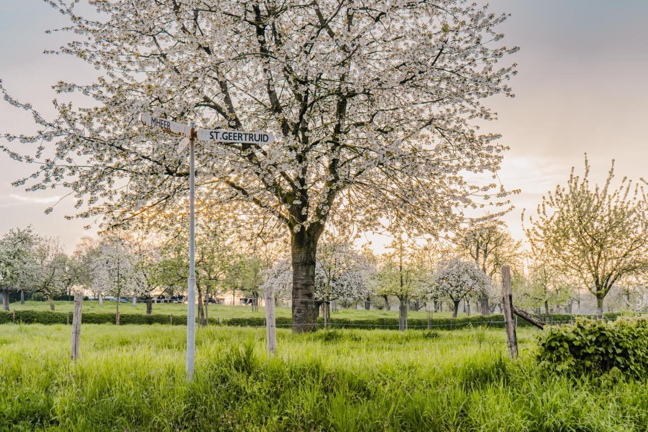 Buitengewoon Libeek Sint Geertruid Zewnętrze zdjęcie